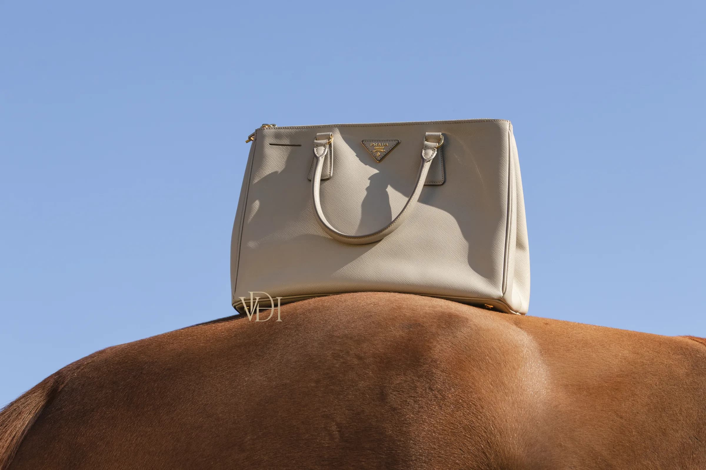 Prada Galleria beige in saffiano sulla schiena di un cavallo contro un cielo azzurro, campagna editoriale Vintage d'Harmonie